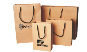 Exploring the Benefits and Applications of Rope Handle Paper Bags