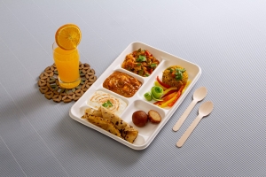 Regulatory and Certification Standards for Bagasse Plates: What You Need to Know