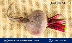 Betaine Market