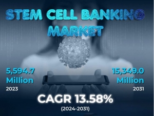 Stem Cell Banking Market Global Market Size to Hit Around 15,349.0 Million by 2031