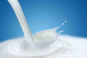 Discover Milk Depot: The Ultimate Milk Maker for Fresh, Homemade Beverages