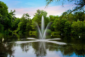 Buying Guide For Scott Pond Floating Fountains