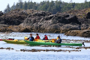 Why This Ucluelet Vacation Rental is the Ultimate Ocean View Retreat