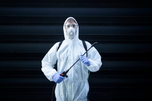 Effective Pest Control Services: Protecting Your Home from Infestations