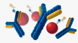 Immunoassay Market Size, Share, Growth, Analysis Forecast to 2031