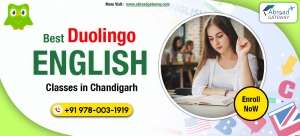 Best Duolingo Coaching in Chandigarh: Where Success Begins