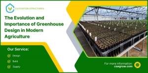 The Evolution and Importance of Greenhouse Design in Modern Agriculture