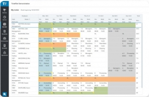 Maximizing Efficiency with IMS Payroll