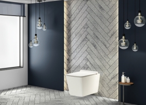 Which Wall-Hung Toilet Is Better: Toto or Duravit?