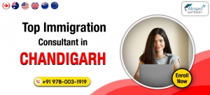 Role of a Visa Consultant in Chandigarh Explained