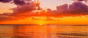 A Trip That's Perfect for Culture Lovers - Explore the Rich Heritage of Darwin on Scenic Harbour Cruises!