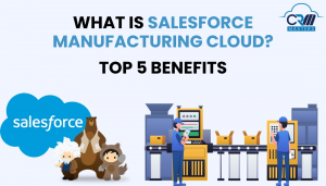 What is Salesforce Manufacturing Cloud – 5 Benefits 