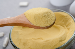 Yeast Extracts Market Share, Trend, Segmentation and Forecast 2031