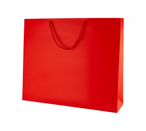 The Versatility of Coloured Paper Bags: Elevating Your Holiday Gifting with Thepaperbagstore