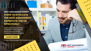 Steps to Evaluate the Best Assignment Experts In The UK Effectively