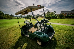 Top Custom Golf Cart Designs for 2024