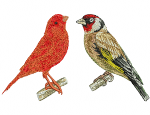 Transform Your Fabrics with Birds Embroidery Designs: A How-To Guide