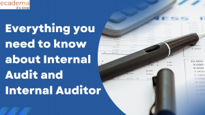 Everything you need to know about Internal Audit and Internal Auditor