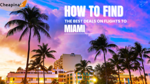 How to Find the Best Deals on Flights to Miami: A Budget Traveler’s Guide