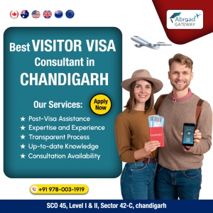 Benefits of Hiring a Visitor Visa Consultant in Chandigarh for Family Visits