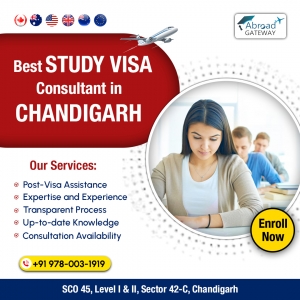 Achieve Your Visa Dreams with Top Consultants in Chandigarh