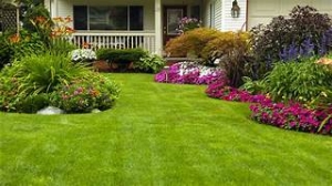 Landscaping in Fairfield: Transforming Outdoor Spaces with Natural Beauty