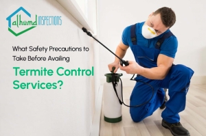 The Ultimate Guide to Choosing the Best Termite Inspection Service