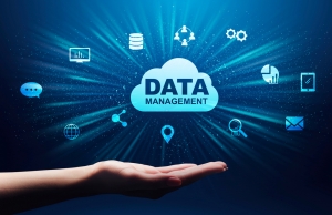 Top Trends in Enterprise Data Management for 2024: What Businesses Need to Know