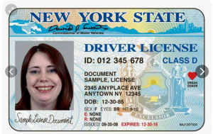 Drivers License Template Free - Download High-Quality Templates | ID Templ 