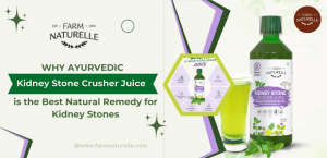 Why Ayurvedic Kidney Stone Crusher Juice is the Best Natural Remedy for Kidney Stones