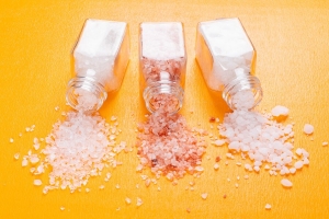 bulk salt suppliers in India