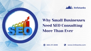 Why Small Businesses Need SEO Consulting More Than Ever