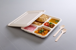 Bagasse Plates and Food Safety: Ensuring Hygiene in Sustainable Dining Solutions