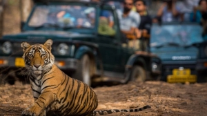 Roaming with Rudyard: A Complete Jungle Book Tour in India