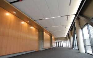 Benefits of Using Wood Ceilings in Acoustical Systems for Residential Spaces