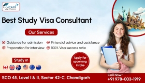 Visa Consultant in Chandigarh: Services They Offer