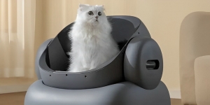 Purrfect Potty Training: How to Make Your Cat Love Their Litter Box 