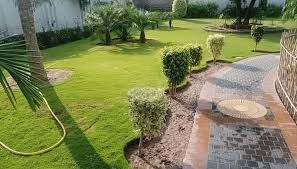 Lawn Care Services in Salem, IN: Keeping Your Lawn Lush and Green