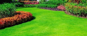 Affordable Landscaping in Salem, Indiana: Transform Your Outdoor Space Without Breaking the Bank