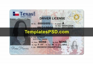 Editable Blank Texas Driver's License Template PSD