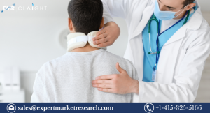 Spinal Cord Stimulation Market Size, Share, Trends, Growth, Analysis, Report and Forecast 2024-2032