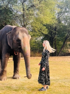 Elephant Sanctuary in Jaipur: A Haven for Elephants with Elefriendride