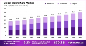 Wound Care Market Key Players and Competition