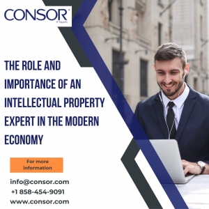 The Role and Importance of an Intellectual Property Expert in the Modern Economy