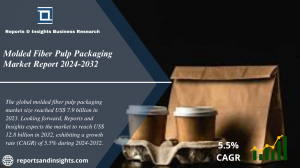 Molded Fiber Pulp Packaging Market Report 2024 to 2032: Industry Growth, Share, Size, Trends and Forecast