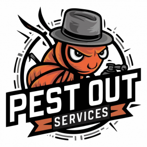 Cockroach Control Service in Chennai: Protect Your Home with Pest Out Services