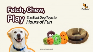 Fetch, Chew, Play: The Best Dog Toys for Hours of Fun
