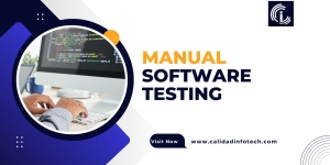 What Are the Challenges of Manual Software Testing?