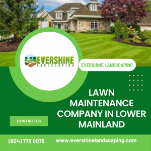 Top Lawn Maintenance Services in Lower Mainland | Evershine Landscaping