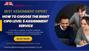 How to Choose the Right CIPD Level 5 Assignment Service